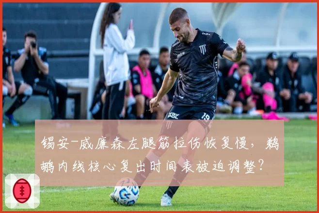 锡安-威廉森左腿筋拉伤恢复慢，鹈鹕内线核心复出时间表被迫调整？