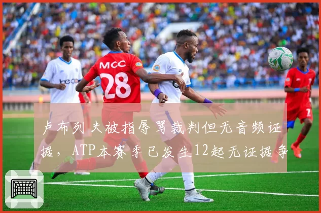 卢布列夫被指辱骂裁判但无音频证据，ATP本赛季已发生12起无证据争议均未处罚