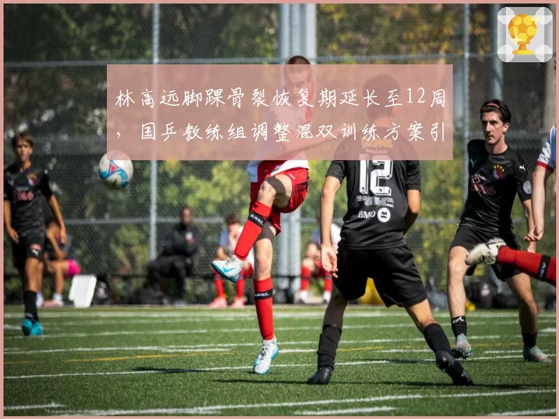 林高远脚踝骨裂恢复期延长至12周,国乒教练组调整混双训练方案引发争议